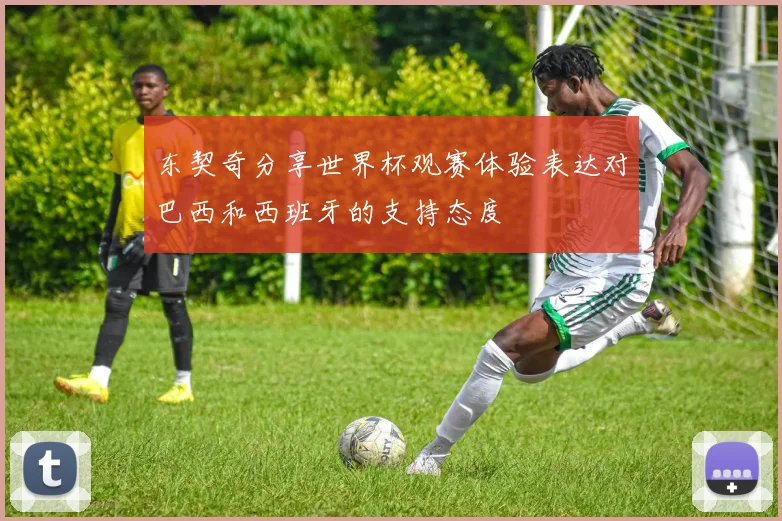 东契奇分享世界杯观赛体验表达对巴西和西班牙的支持态度