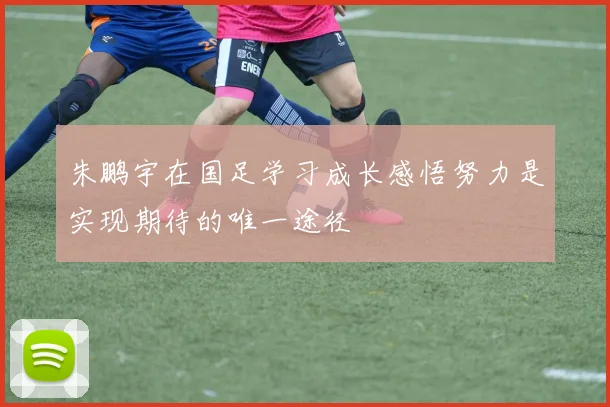 朱鹏宇在国足学习成长感悟努力是实现期待的唯一途径